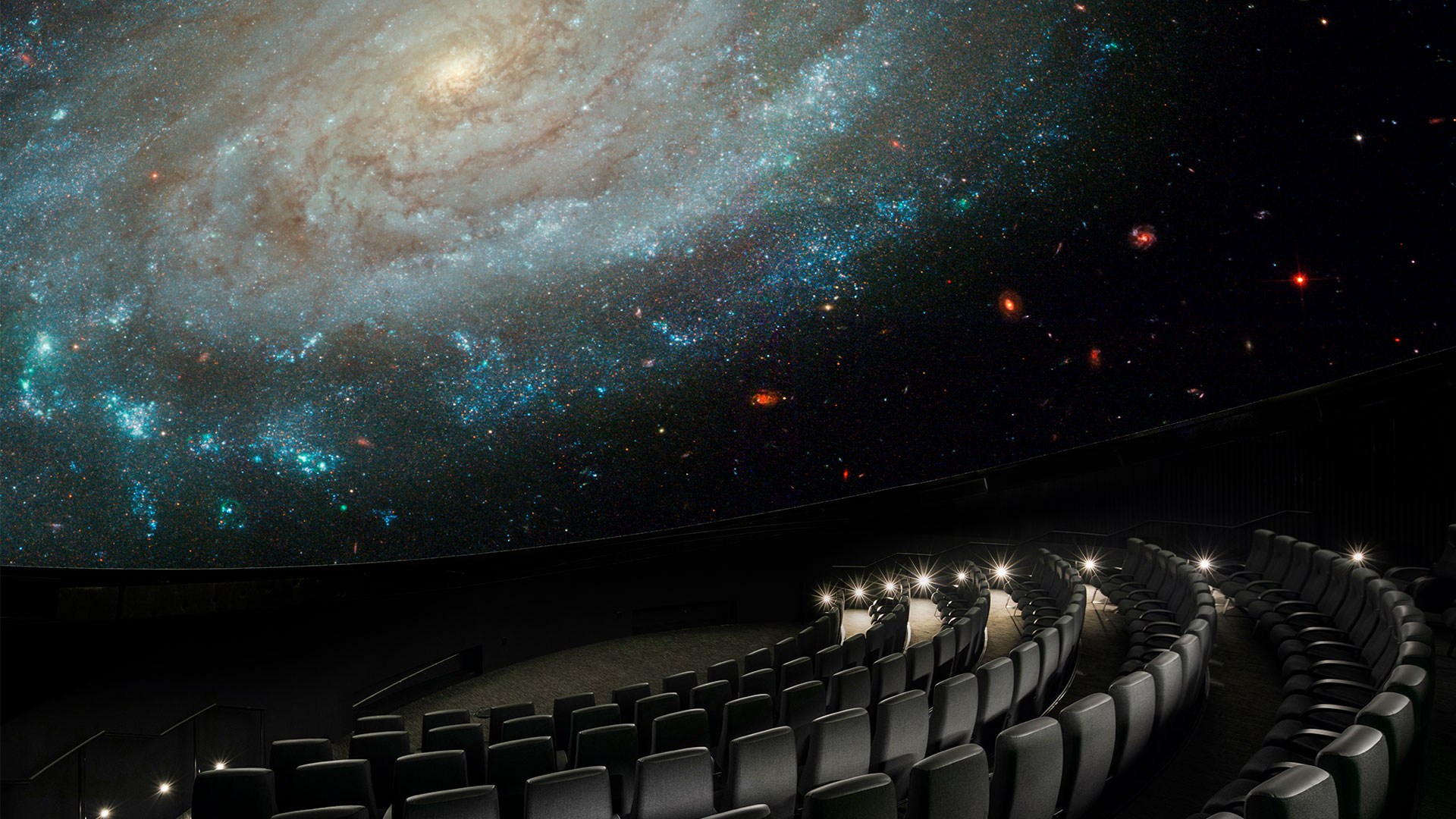 bell museum planetarium bell museum planetarium